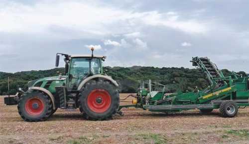 t-rammassage-de-cailloux.jpeg